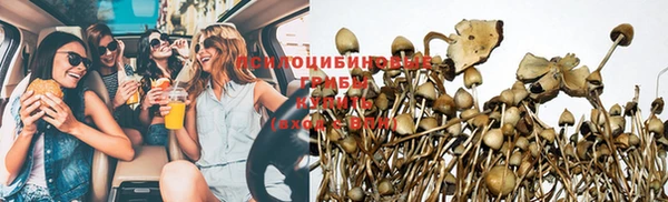 дживик Нефтегорск