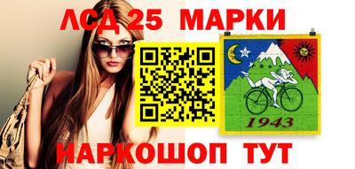гашик Кулебаки