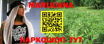 гашик Кулебаки