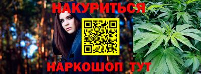 гашик Кулебаки