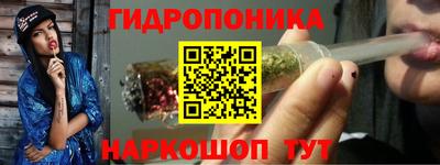 индика Краснокаменск